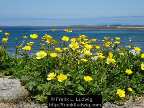 Strandhill